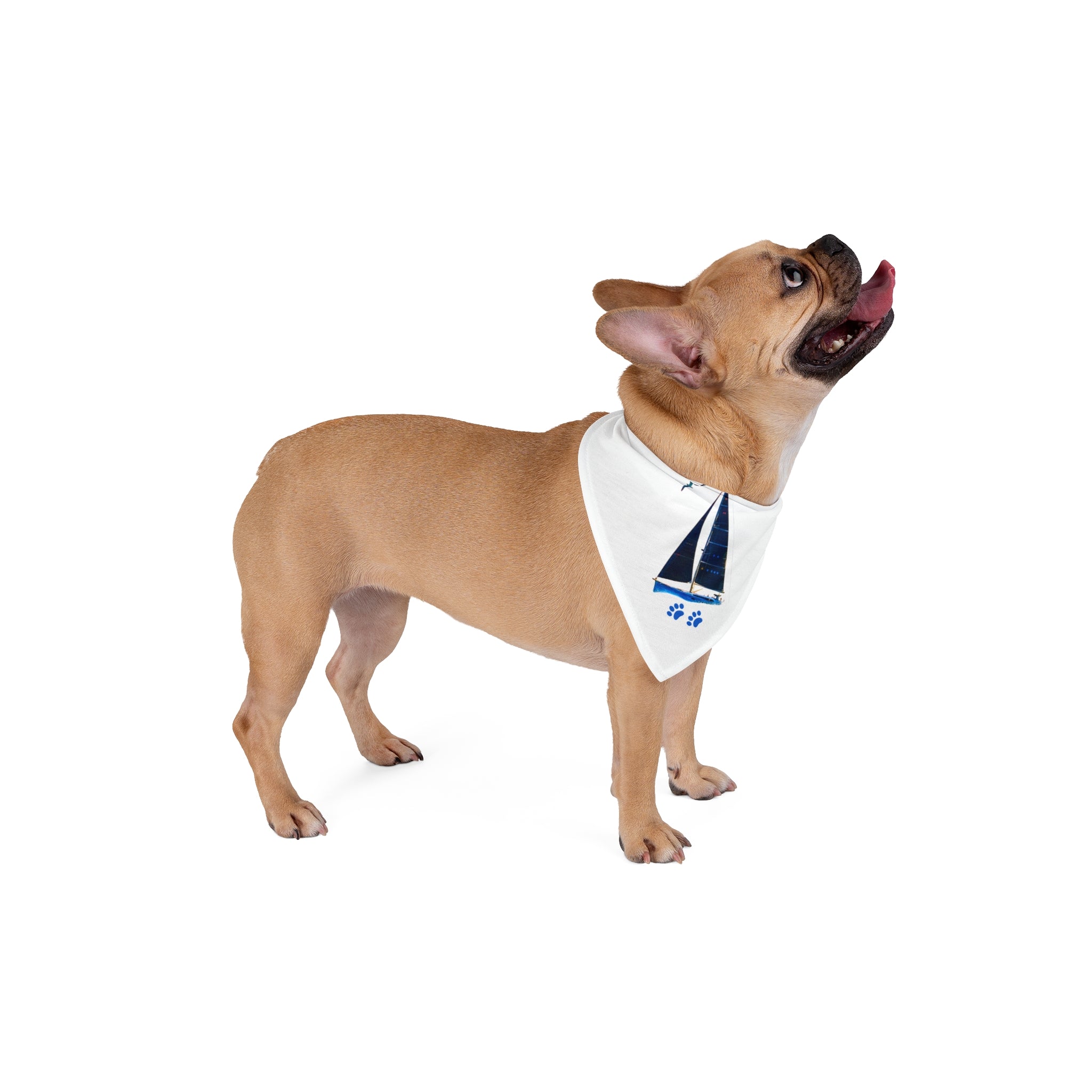 Pet Bandana yacht design, personalisable with pet name, Nautical Pet Accessories