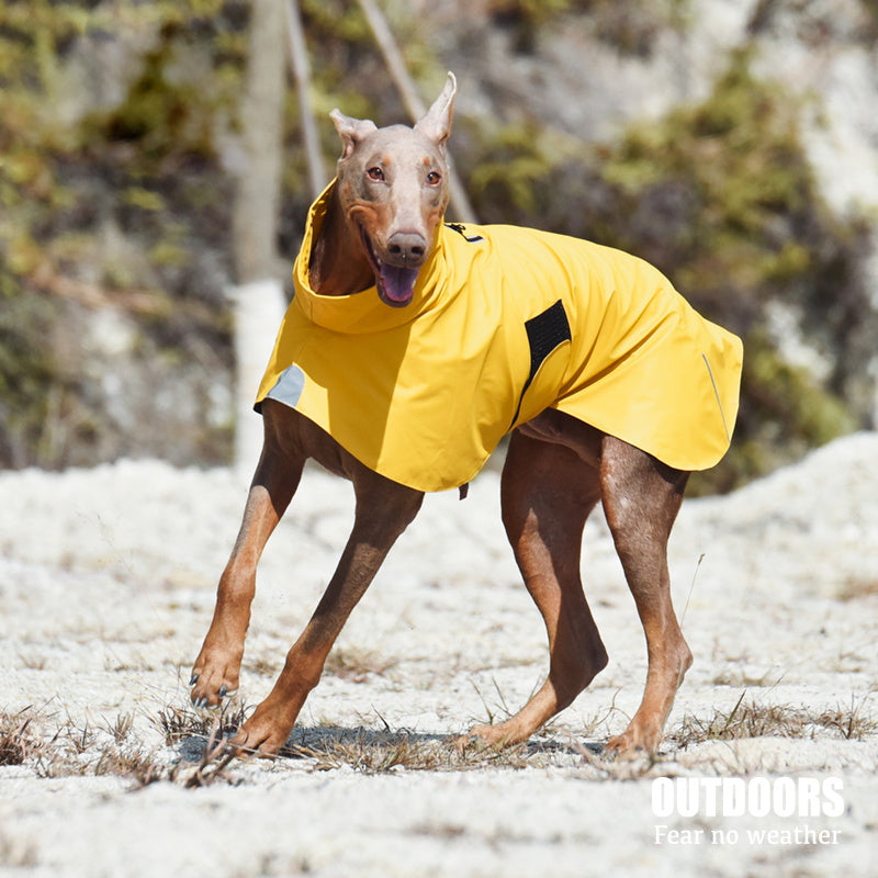 Dog Waterproof / Salty Pet Jacket / Windproof Raincoat Outerwear